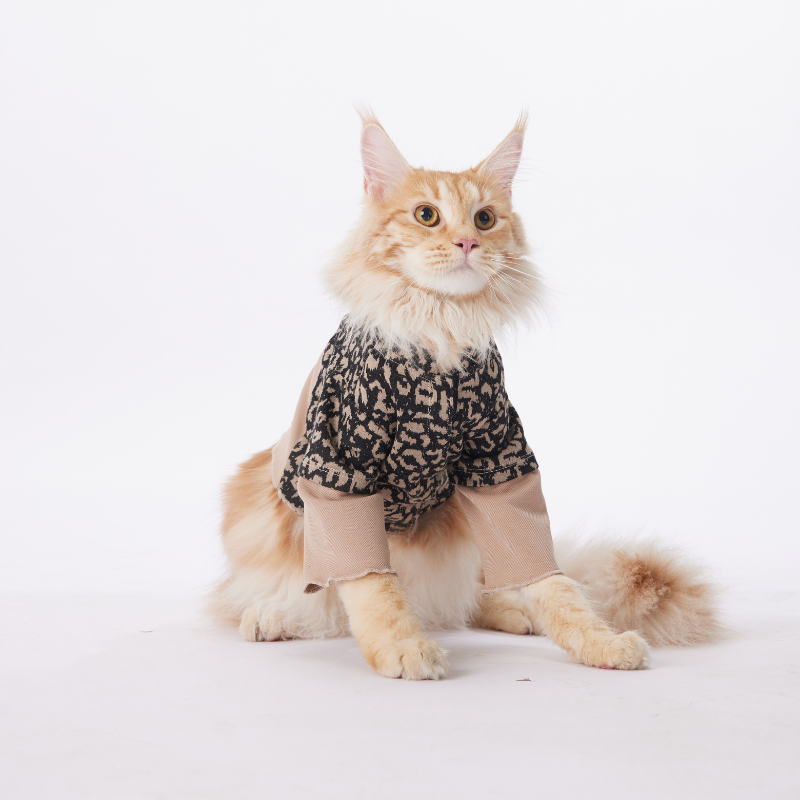 FORESTRY Series Pet Clothing Featuring Leopard Print And Zipped Bows Suitable For Dogs And Cats Trendy Fashion Items.