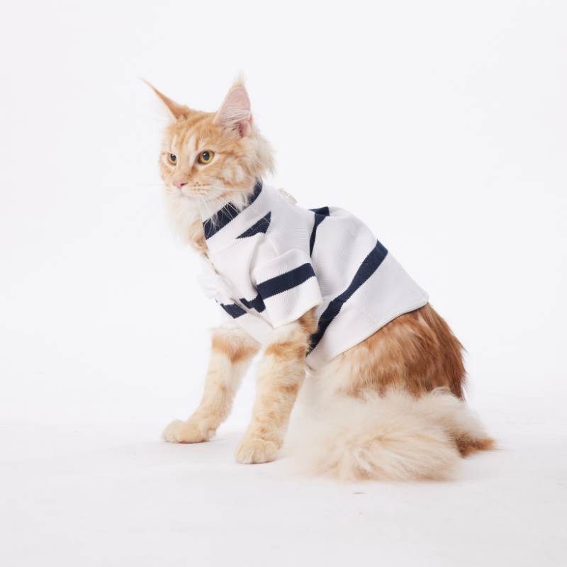 LUXE Series Pet Cloth Fashion Black And  White Striped Sailor Suit With High Collar - New Clothing For Dogs And Cats