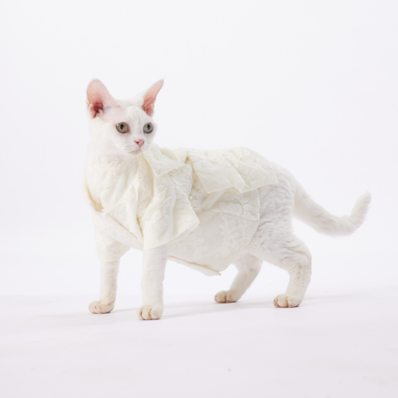 GLOSS Series Pet Fashion White Lace Pearl Flower Dog And Cat Cute Celebration Birthday Costume