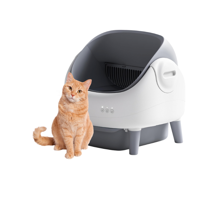 Bornown Grey-white Open-top Smart Cat Litter Box