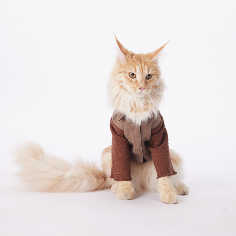 FORESTRY Series Pet Fashion Cloth Cowboy Faux-leather Check-patterned Cloth With Pearl Accessories For Pets - Dog And Cat Warm Clothing