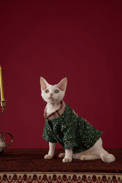 CHRISTMAS Series Bornown Emerald Tweed Button Dog Jacket – Winter Heritage Holiday Coat