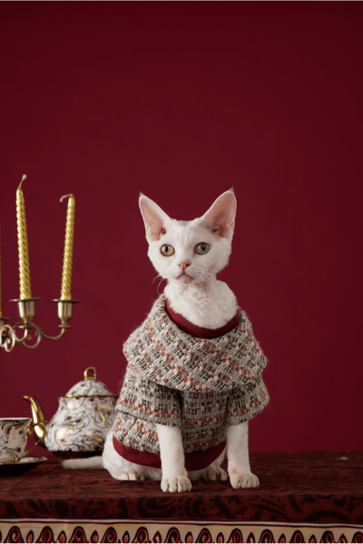 CHRISTMAS Series Bornown Cream Multi-Color Tweed Pet Top Soft Winter Christmas Sweater