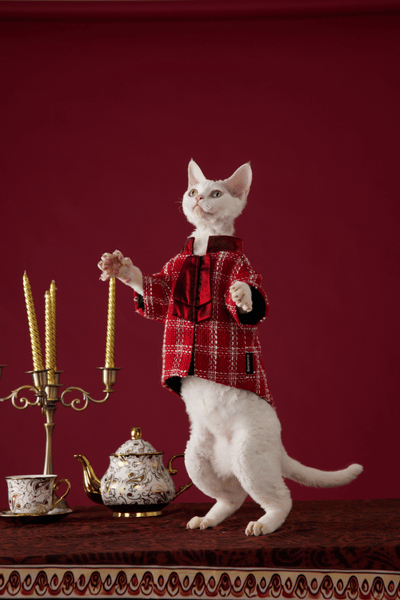 CHRISTMAS Series Bornown Red Plaid Tweed Dog Dress with Velvet Bow – Christmas Pet Outfit